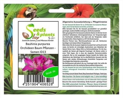 6x Bauhinia purpurea Orchideen Baum Pflanzen - Samen ID13