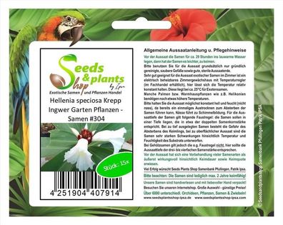 15x Hellenia speciosa Krepp Ingwer Garten Pflanzen - Samen #304