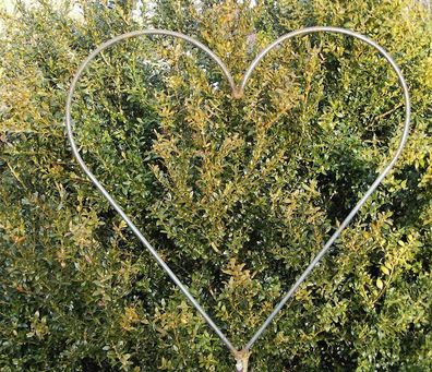 Herz zum Stecken Edelrost Gartendeko Gartenstecker Metall Rost