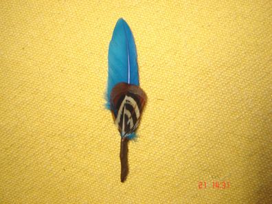 kleine Hutfeder Hutschmuck türkis blau Feder ca 4,5 -5 cm für Herrenhut Art 24-42-1