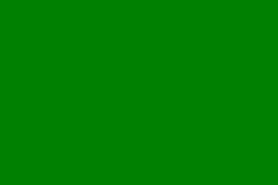 Fahne Flagge Grün Premiumqualität