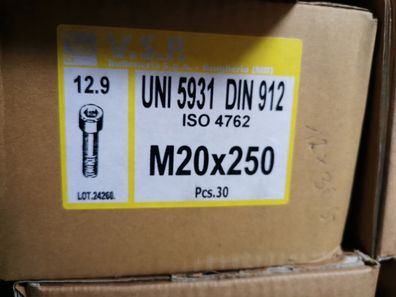 DIN 912 Zylinderschrauben mit Innensechskant, M20 x 250 12.9 Blank 5 Stk