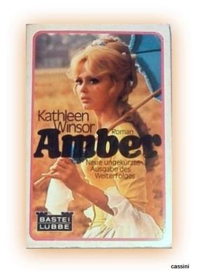 Amber Taschenbuch