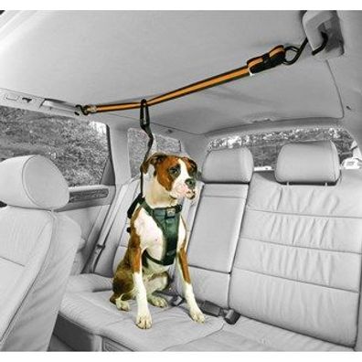 Kurgo - Auto Zip Line For Dogs - Black/ Orange-Befestigungsgurt im Auto