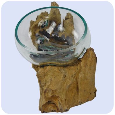 Wurzelholz Glas-Vase Wurzel-Vase Deko-Glas mit Kaffeewurzel "Glasschale"