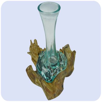 Wurzelholz Glas-Vase Wurzel-Vase Deko-Glas "Blumenvase" mit Kaffeewurzel