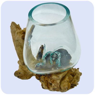 Wurzelholz Glas-Vase Wurzel-Vase Deko-Glas mit Kaffeewurzel "mittel"
