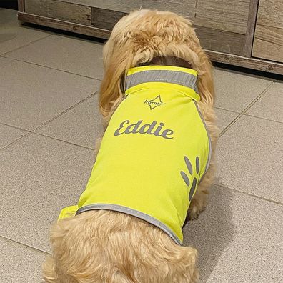 Sicherheitsweste Hund reflektierend Wunschtext Klettverschluss gelb Warnweste