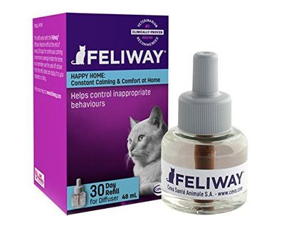 Feliway® Nachfüllflakon 48ml für violetten Stecker für 4-Wochen für Katzen