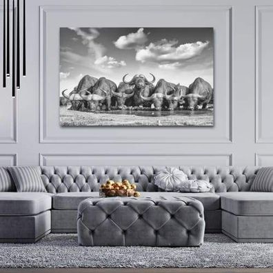 Wandbilder schwarz weiß | Büffelherde | Tiere | XXL Leinwand Bilder | Kunstdruck