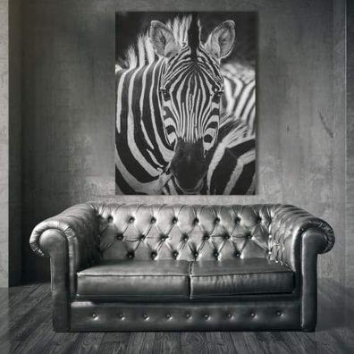 Wandbild Zebra | Schwarz Weiß Bilder | Leinwandbilder | Wohn- und Schlafzimmer
