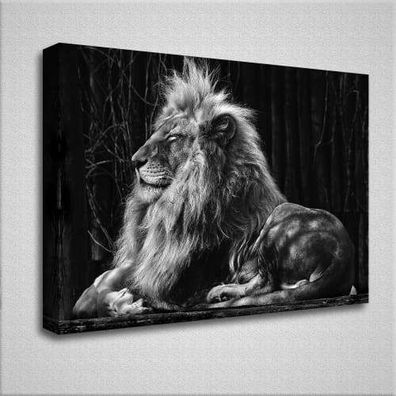 Wandbild Löwe | Leinwandbild | XXL Wohnzimmer - Schlafzimmer Bild | Kunstdruck