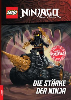 LEGO® Ninjago® – Die Stärke der Ninja Abenteuer Geschichte Buch Jay Cole Nya