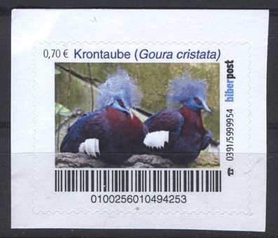 biber post Krontaube (Goura cristata) (70) h1017