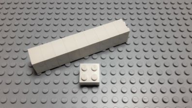 Lego 10 Basic Steine 2x2 hoch weiß 3003 Set 21114 31051 10676 10021