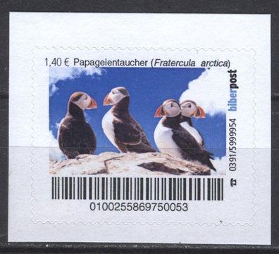 biber post Papageientaucher (Fratercula arctica) (1,40) h1069
