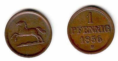 1 Pfennig Kupfer Münze Braunschweig Wolfenbüttel 1856 B (109143)