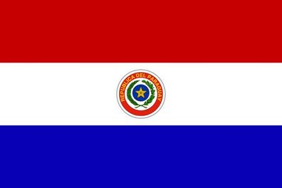 Fahne Flagge Paraguay Premiumqualität