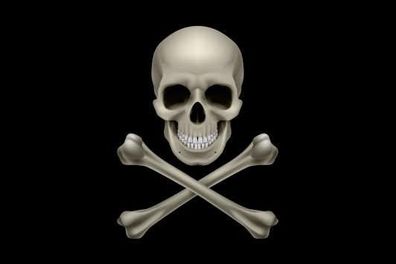 Fahne Flagge Pirat Cross Bone Premiumqualität