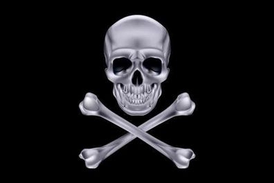 Fahne Flagge Pirat Cross Bone silber Premiumqualität