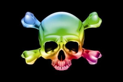 Fahne Flagge Pirat Skull Bones Rainbow Premiumqualität