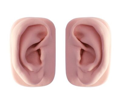 Akupunkturmodell Ohr ohne Punkte (Paar)