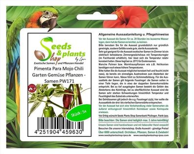 5x Pimenta Para Mojo Chili Garten Gemüse Pflanzen - Samen PW171