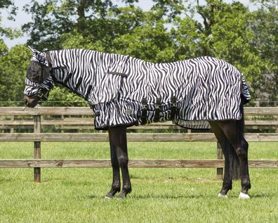 QHP Fliegendecke mit Halsteil und Maske Zebra Fliegenschutz Decke Shetty Pony