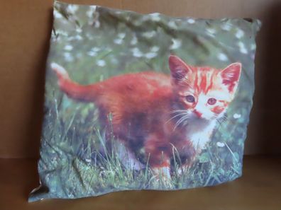 Kissen kleines Kissen mit rot weißer Katze / ca. 39 x 36 cm