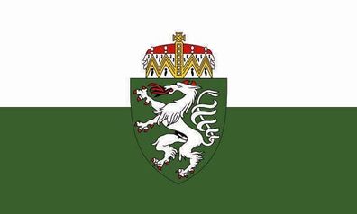 Fahne Flagge Steiermark Premiumqualität