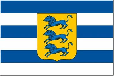 Fahne Flagge Tallinn Region Premiumqualität