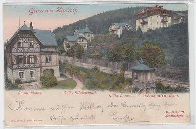49375 Ak Gruß aus Kipsdorf Emmenklause, Villa Waldwinkel und Susanna 1901