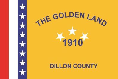 Fahne Flagge Dillon County South Carolina Premiumqualität