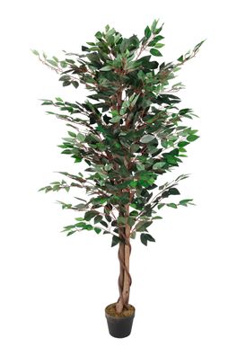 Deko Pflanze 160cm - Modell: Ficus - Kunstpflanze künstliche Pflanze Baum