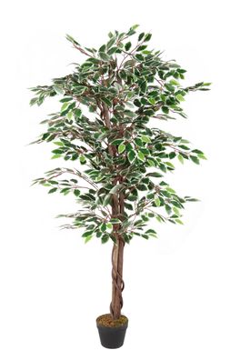Deko Pflanze 160cm - Modell: Benjamini - Kunstpflanze künstliche Pflanze Baum