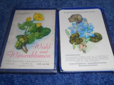 Kartenspiel/ Quartettspiel- Wald und Wiesenblumen