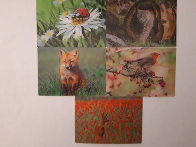 3 D Ansichtskarte Waldtiere Postkarte Wackelkarte Hologrammkarte Fuchs Vogel Käfer