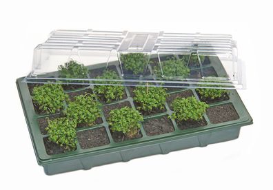 Mini Gewächshaus - für die Anzucht von Samen und Keimlingen - Treibhaus Anzucht