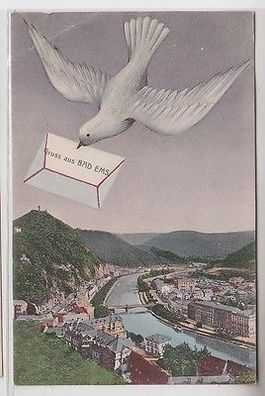 64299 Tauben Ak Gruß aus Bad Ems Totalansicht 1908