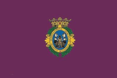 Fahne Flagge Cádiz Spanien Premiumqualität