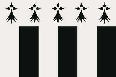 Fahne Flagge Rennes Premiumqualität