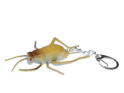 Wanzen Schlüsselanhänger Miniblings Wanze Käfer Zikade Insekt Schlüsselring