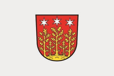Fahne Flagge Reichelsheim (Odenwald) Premiumqualität