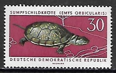 DDR postfrisch Michel-Nummer 980