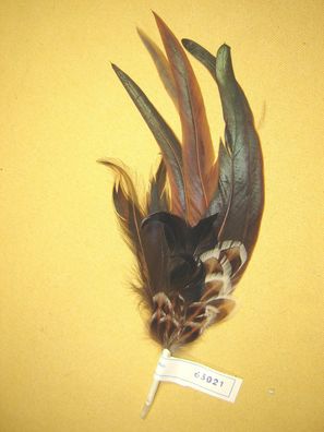 Trachtenhutfeder Dirndlhutfeder Hutfeder Hahnenfedern grün und braun 29cm Nr 63021