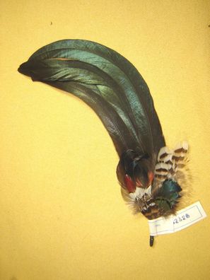 Trachtenhutfeder Dirndlhutfeder lange Hutfeder Hahn grün mit bunt 27 cm Art62326