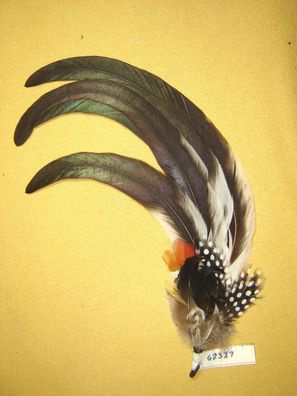 Trachtenhutfeder Dirndlhutfeder lange Hutfeder Hahn grün mit Perlhuhn 34 cm Art62327