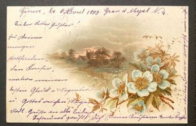 Künstlerkarte um 1899 Blumen Geneve - Altensteig Stempel 80231