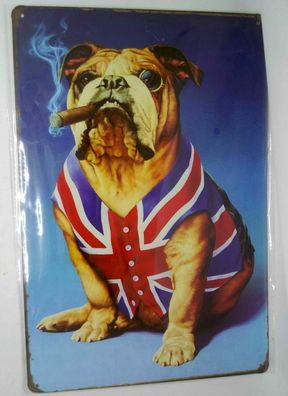 Nostalgie Nostalgie Retro Blechschild Englische Bulldogge Zigarre 30x20 50165