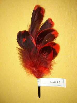 Damenhutfeder schwarz rot 19 cm modische Hutfeder Art66378 Pillbox